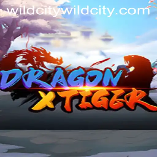 Unveiling DragonXTiger: The New Era of Wildcity Gaming